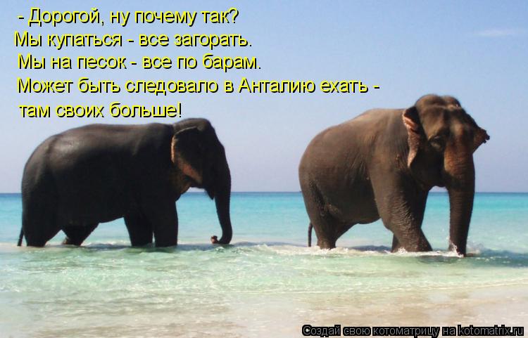 Котоматрица: - Дорогой, ну почему так? Мы купаться - все загорать. Мы на песок - все по барам. Может быть следовало в Анталию ехать -  там своих больше!