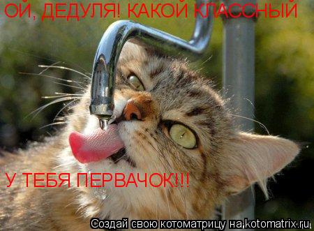 Котоматрица: ОЙ, ДЕДУЛЯ! КАКОЙ КЛАССНЫЙ У ТЕБЯ ПЕРВАЧОК!!!