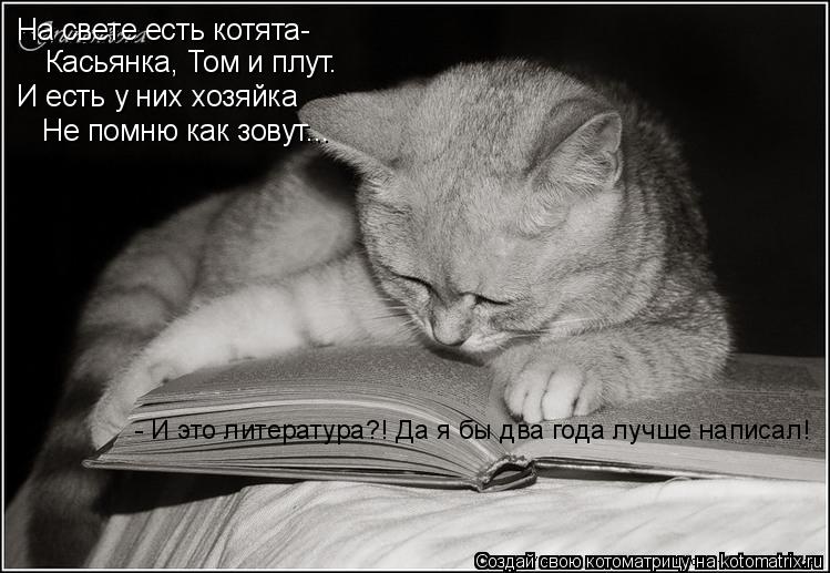 Котоматрица: На свете есть котята- Касьянка, Том и плут. И есть у них хозяйка Не помню как зовут... - И это литература?! Да я бы два года лучше написал!