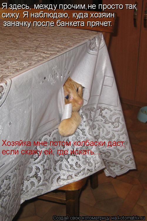 Котоматрица: Я здесь, между прочим,не просто так сижу. Я наблюдаю, куда хозяин заначку после банкета прячет. Хозяйка мне потом колбаски даст, если скажу е