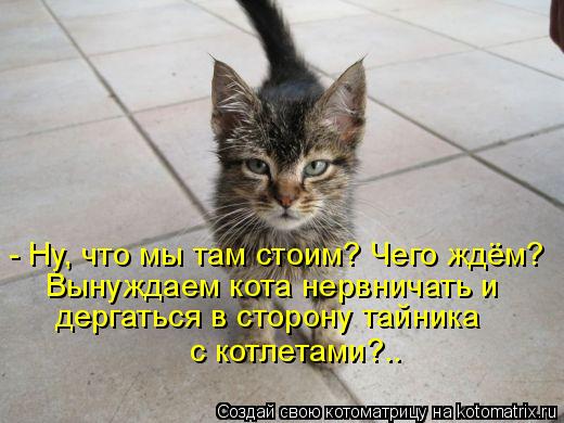Котоматрица: - Ну, что мы там стоим? Чего ждём? Вынуждаем кота нервничать и дергаться в сторону тайника с котлетами?..