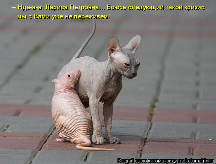 Котоматрица: -- Нда-а-а, Лариса Петровна... Боюсь следующий такой кризис мы с Вами уже не переживем!
