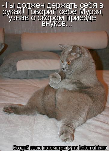 Котоматрица: -Ты должен держать себя в  руках! Говорил себе Мурзя, узнав о скором приезде внуков...