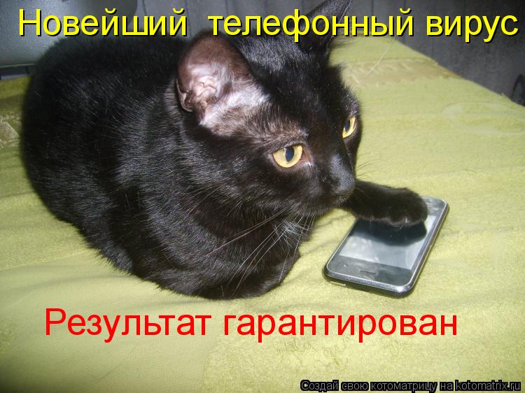 Котоматрица: Результат гарантирован Новейший  телефонный вирус