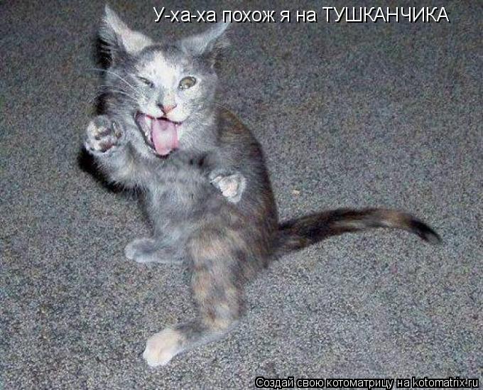 Котоматрица: У-ха-ха похож я на ТУШКАНЧИКА