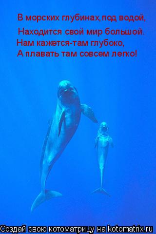 Котоматрица: В морских глубинах,под водой, Находится свой мир большой. Нам кажется-там глубоко, А плавать там совсем легко!