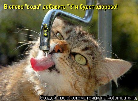 Котоматрица: водка В слово "вода" добавить "к" и будет здорово!