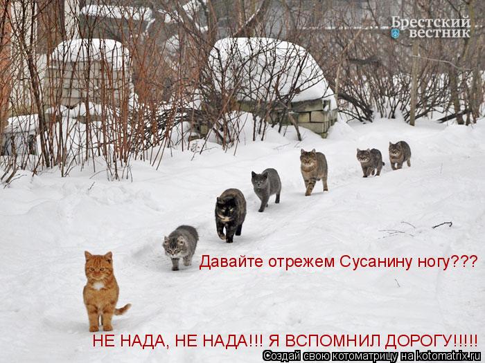 Котоматрица: Давайте отрежем Сусанину ногу??? НЕ НАДА, НЕ НАДА!!! Я ВСПОМНИЛ ДОРОГУ!!!!!