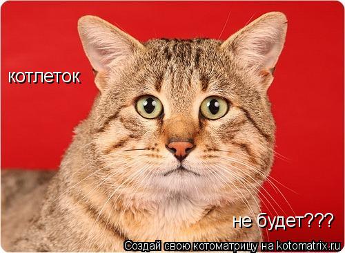 Котоматрица: котлеток  не будет???