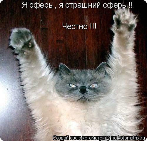 Котоматрица: Честно !!! Я сферь , я страшний сферь !!