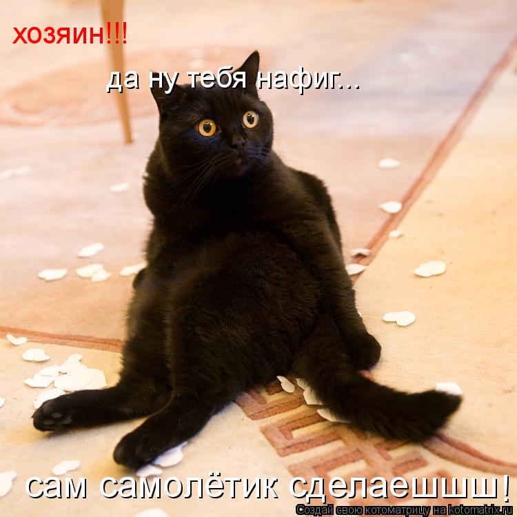 Котоматрица: хозяин!!! да ну тебя нафиг... сам самолётик сделаешшш !