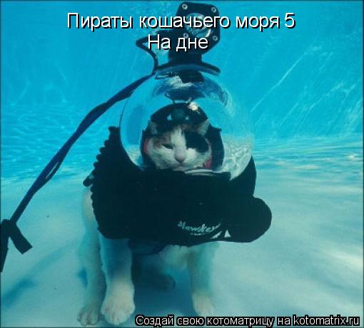 Котоматрица: Пираты кошачьего моря 5 Пираты кошачьего моря 5 На дне