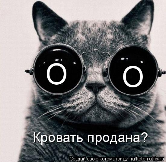 Котоматрица: О О Кровать продана?
