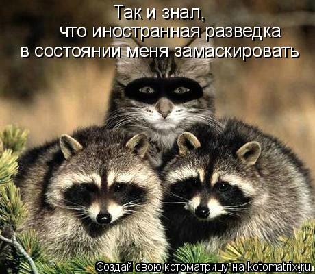 Котоматрица: Так и знал, что иностранная разведка в состоянии меня замаскировать