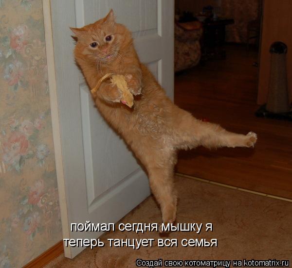 Котоматрица: поймал сегдня мышку я теперь танцует вся семья