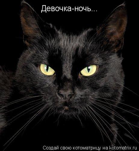 Котоматрица: Девочка-ночь...