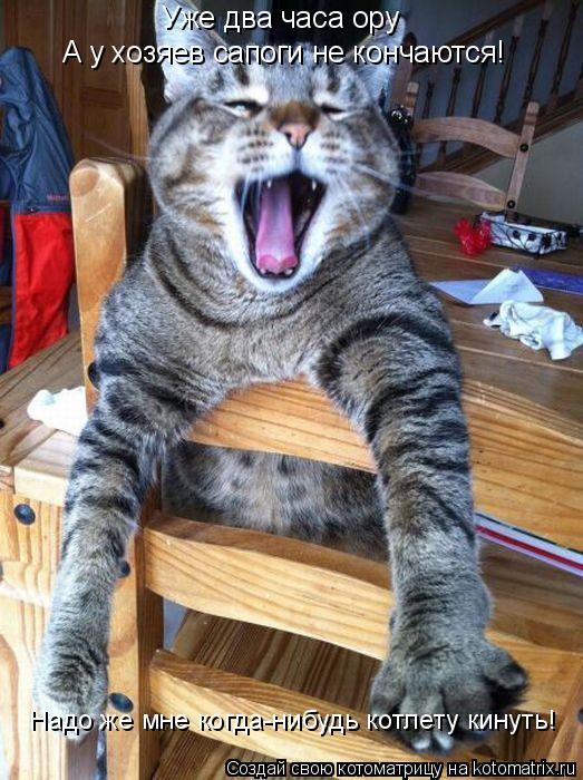 Котоматрица: Уже два часа ору А у хозяев сапоги не кончаются! Надо же мне когда-нибудь котлету кинуть!