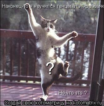 Наконец-то я научился танцевать "кравовяк" Но что это ? ?... Котоматрица: Наконец-то я научился танцевать "кравовяк" Но что это ? ?