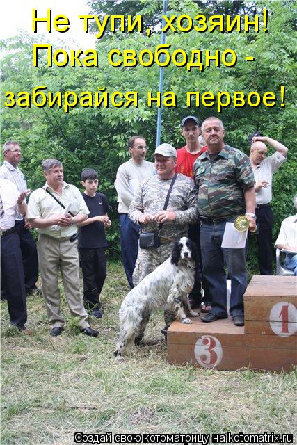 Котоматрица: Не тупи, хозяин!  Пока свободно -  забирайся на первое!