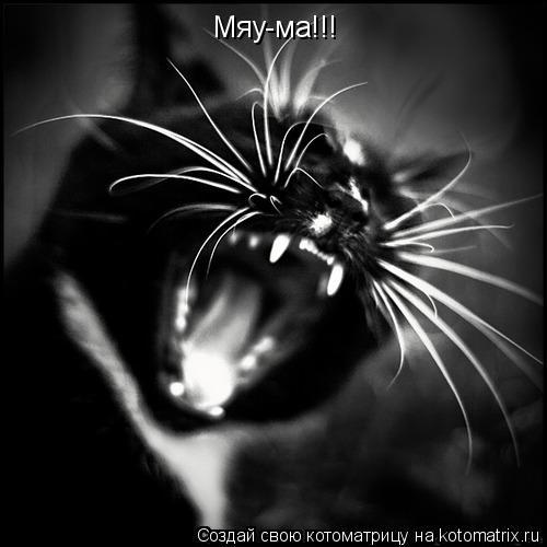 Котоматрица: Мяу-ма!!!