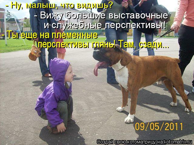 Котоматрица: - Ну, малыш, что видишь? - Вижу большие выставочные  и служебные перспективы! - Ты еще на племенные  перспективы глянь! Там, сзади...