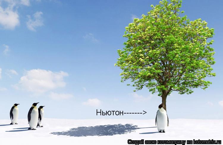 Ньютон------->... Котоматрица: Ньютон------->