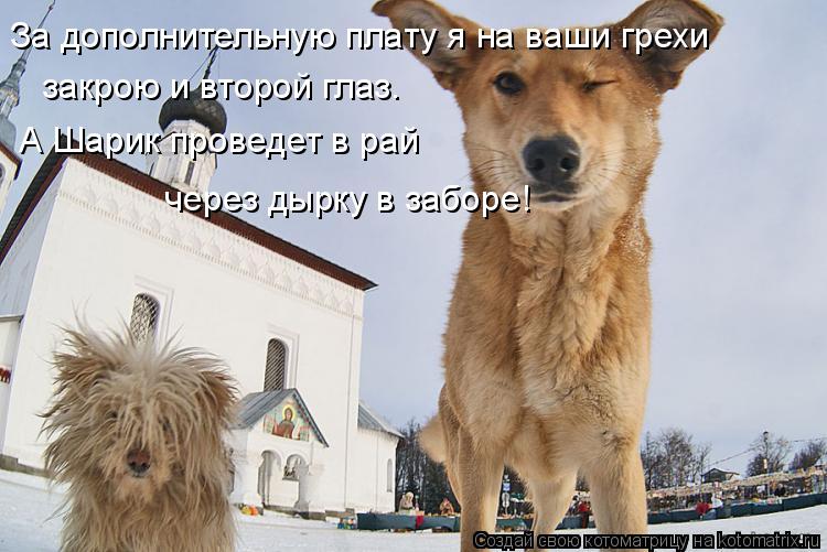 За дополнительную плату я на ваши грехи закрою и второй глаз. А Шарик проведет в рай через дырку в... Котоматрица: За дополнительную плату я на ваши грехи закрою и второй глаз. А Шарик проведет в рай через дырку в заборе!