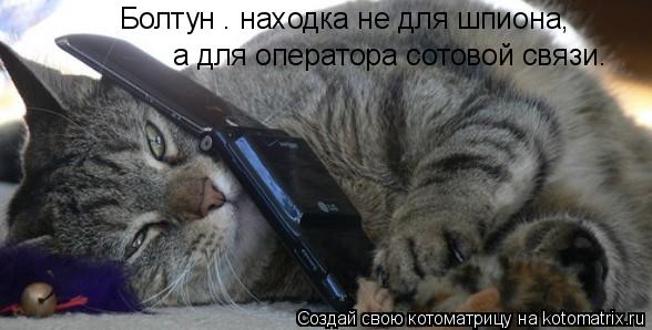 Котоматрица: Болтун – находка не для шпиона, а для оператора сотовой связи.