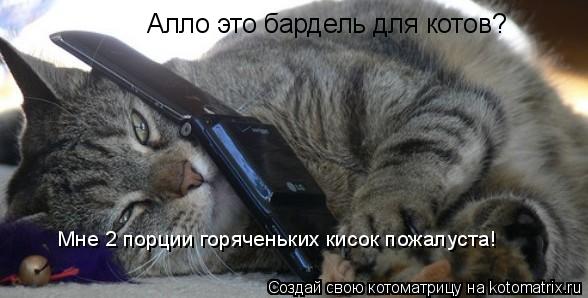 Котоматрица: Алло это бардель для котов? Мне 2 порции горяченьких кисок пожалуста!