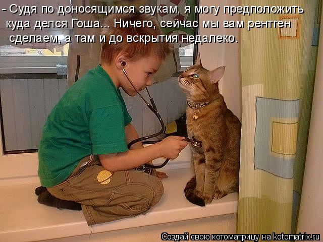 Котоматрица: - Судя по доносящимся звукам, я могу предположить  куда делся Гоша... Ничего, сейчас мы вам рентген  сделаем, а там и до вскрытия недалеко.