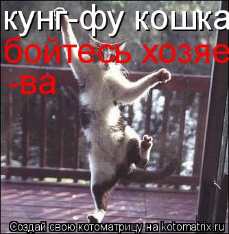 Котоматрица: кунг-фу кошка бойтесь хозяева -ва