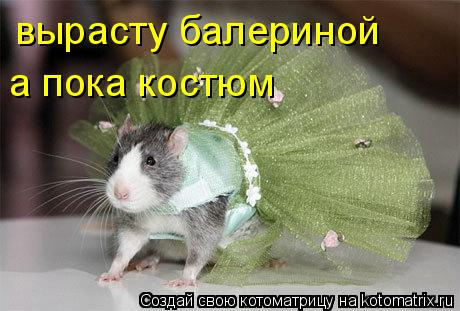 Котоматрица: вырасту балериной а пока костюм