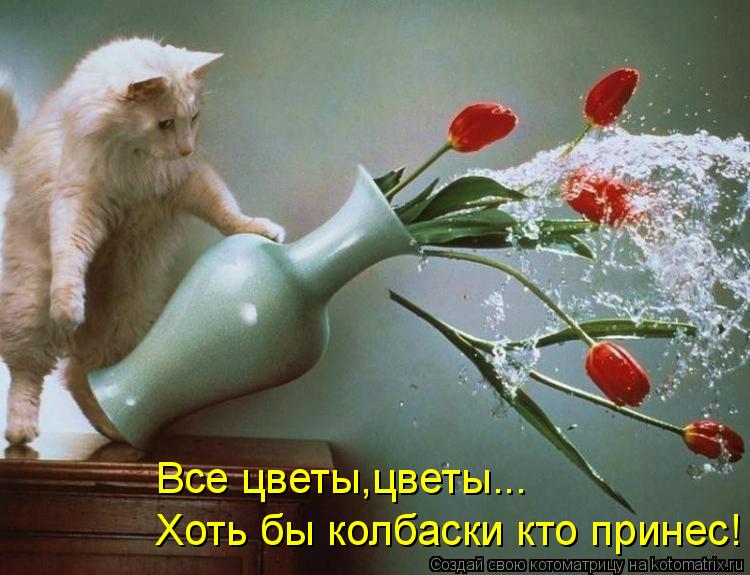 Котоматрица: Все цветы,цветы...  Хоть бы колбаски кто принес! Все цветы,цветы...