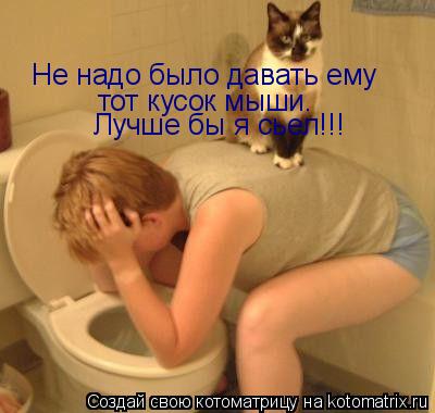 Котоматрица: Не надо было давать ему  тот кусок мыши. Лучше бы я сьел!!!