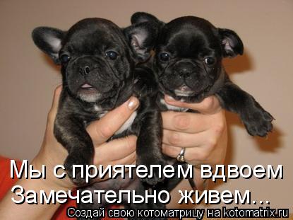 Котоматрица: Мы с приятелем вдвоем Замечательно живем...