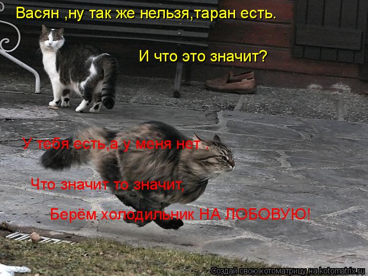 Котоматрица: Васян ,ну так же нельзя,таран есть. У тебя есть,а у меня нет . И что это значит? Что значит то значит,  Берём холодильник НА ЛОБОВУЮ!