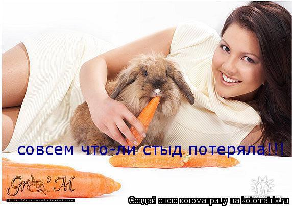Котоматрица: совсем что-ли стыд потеряла!!!