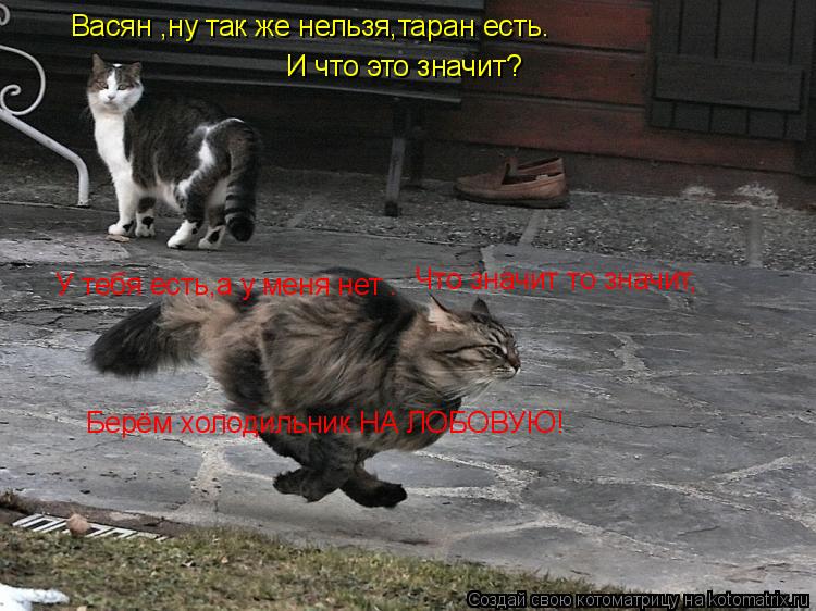 Котоматрица: Васян ,ну так же нельзя,таран есть. У тебя есть,а у меня нет . И что это значит? Что значит то значит, Берём холодильник НА ЛОБОВУЮ!