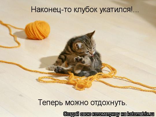 Котоматрица: Наконец-то клубок укатился!... Теперь можно отдохнуть.