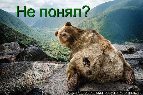 Котоматрица: Не понял?