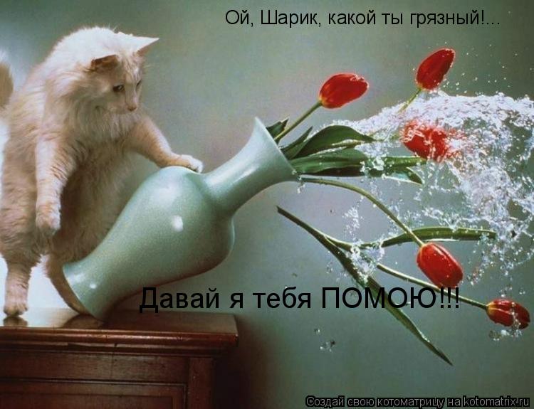 Котоматрица: Ой, Шарик, какой ты грязный!... Давай я тебя ПОМОЮ!!!