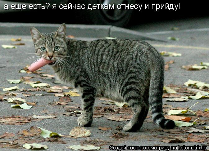 Котоматрица: а еще есть? я сейчас деткам отнесу и прийду!