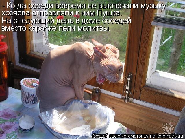 Котоматрица: - Когда соседи вовремя не выключали музыку, хозяева отправляли к ним Пушка. На следующий день в доме соседей вместо караоке пели молитвы.
