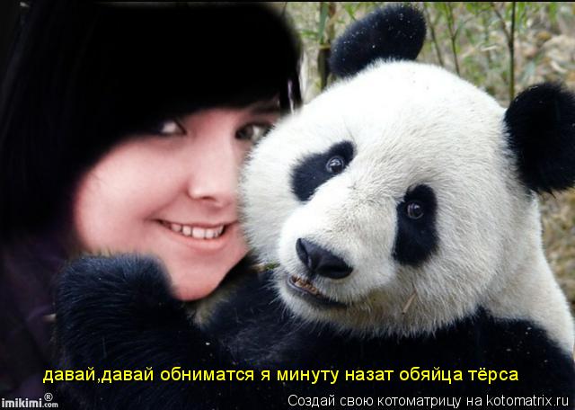 Котоматрица: давай,давай обниматся я минуту назат обяйца тёрса