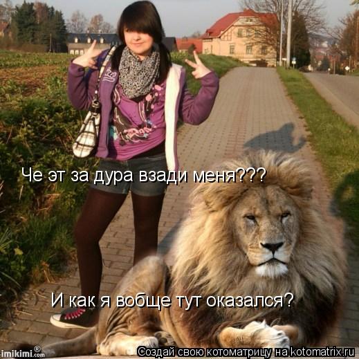 Котоматрица: Че эт за дура взади меня??? И как я вобще тут оказался?