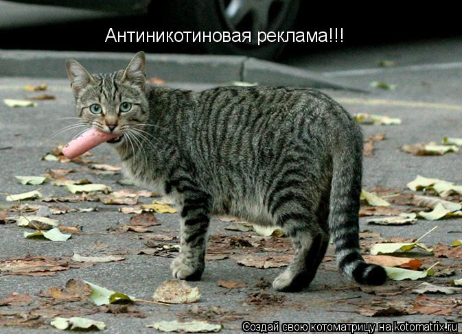 Котоматрица: Антиникотиновая реклама!!!
