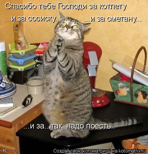 Котоматрица: Спасибо тебе Господи за котлету ...и за сосиску... ...и за сметану... ...и за...так, надо поесть..