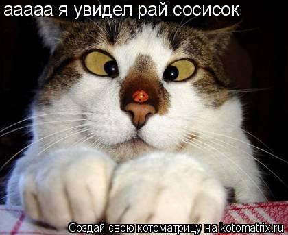 Котоматрица: ааааа я увидел рай сосисок