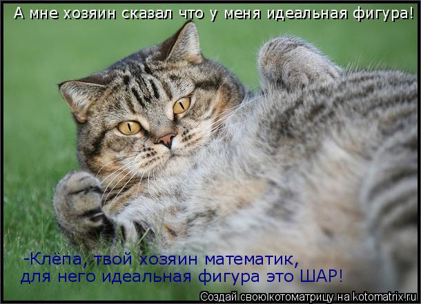 А мне хозяин сказал что у меня идеальная фигура! -Клёпа, твой хозяин математик, для него идеальная ф... Котоматрица: А мне хозяин сказал что у меня идеальная фигура! -Клёпа, твой хозяин математик, для него идеальная фигура это ШАР!