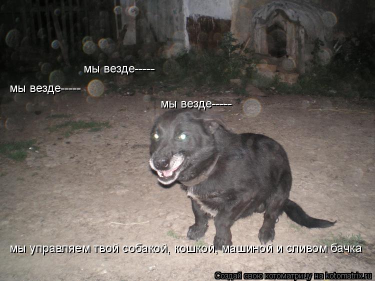 мы везде----- мы везде----- мы везде----- мы управляем твой собакой, кошкой, машиной и сливом бачка... Котоматрица: мы везде----- мы везде----- мы везде----- мы управляем твой собакой, кошкой, машиной и сливом бачка